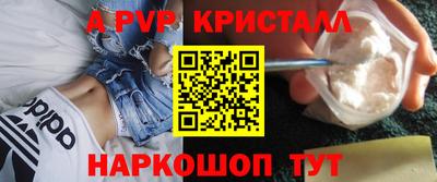 a pvp Новозыбков
