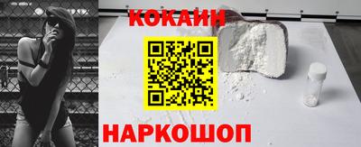 a pvp Новозыбков