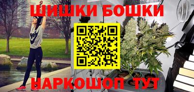 a pvp Новозыбков
