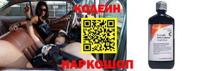 a pvp Новозыбков