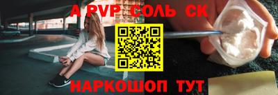a pvp Новозыбков