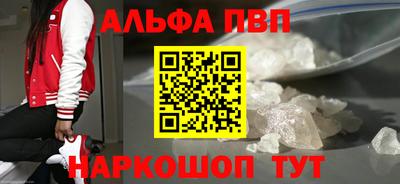 a pvp Новозыбков