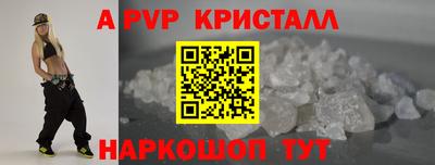 a pvp Новозыбков