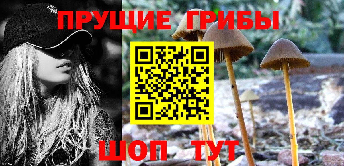 что такое наркотик  Вход с VPN  Ртищево  Галлюциногенные грибы GOLDEN TEACHER 