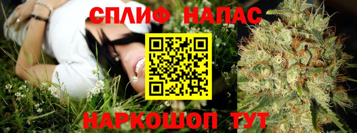 Конопля Ganja Ртищево